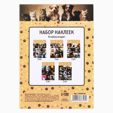 A set of paper stickers "Kotops", 10 pieces, 11 x 15.5 cm-8