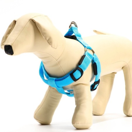 Shleka luminous size XL, sling 2.5 cm, fire 60-70 cm, 3 glow glow modes-1