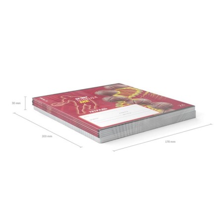 Notebook 24 sheets in the Erichkrause "Sport DNA" line, UV-LK, cover coated cardboard, offset block, mix-8
