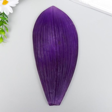 MOLD Plastic "LIST ORCHIDE OF THE BIGHT" 20.5X9 cm