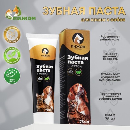 Toothpaste with mint "Piggon Premium" for cats and dogs, 75 ml