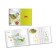Djeco Quilling Set "Birds"