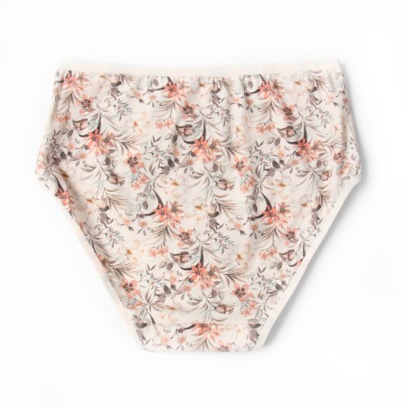 Panties women's slips Miss Beautiful, white/brown color, 4xl (52-54)-2