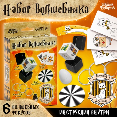 Set of the wizard "Friendly Faculty", 6 pcs.