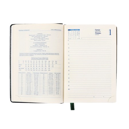 Dated diary of 2025, A5, 168 sheets in the ruler, leatherette "Nebraska", gold cut, green-10