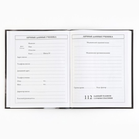 School diary 5-11 grade, in a solid cover, 48 liters. "Cat"-2