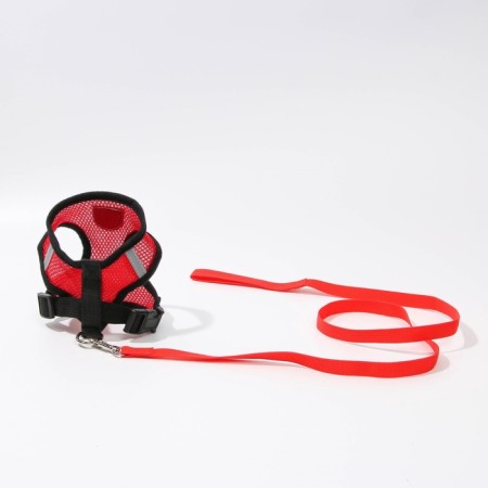 Drinking harness with a leash and reflective patch, s, ok 27, og 30-38, red-1