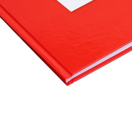 Universal diary for grades 1-11 Russia, hard cover, glossy lamination, 40 sheets-2