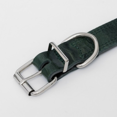Collar leather two-layer 3 cm, Osh 35-47 cm, emerald-3