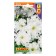 Petunia seeds Aphrodite F1 white coarse -flowered, 10 pcs