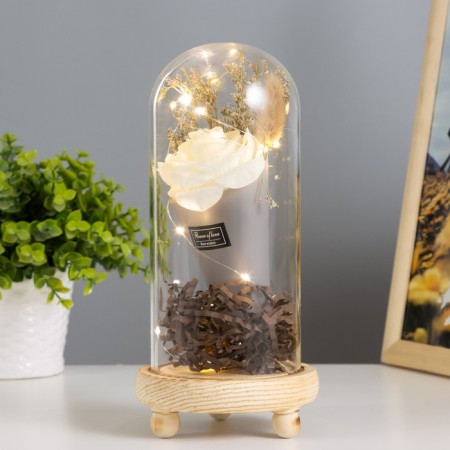 Nightlight "Rose in the bouquet" LED 3AAA 10x10x20 cm Risalux-1