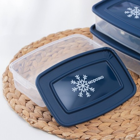 A set of containers for freezing products "Morozko", 3 pcs, 700 ml, color mix-2