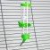 Drill for rodents "Pijon", 250 ml, green