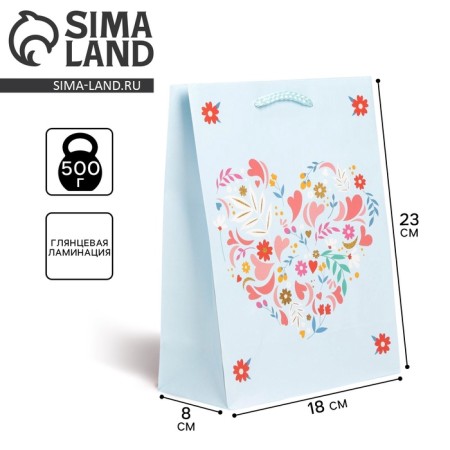 Gift laminated package, packaging, Pressent for You, MS 18 x 23 x 8 cm