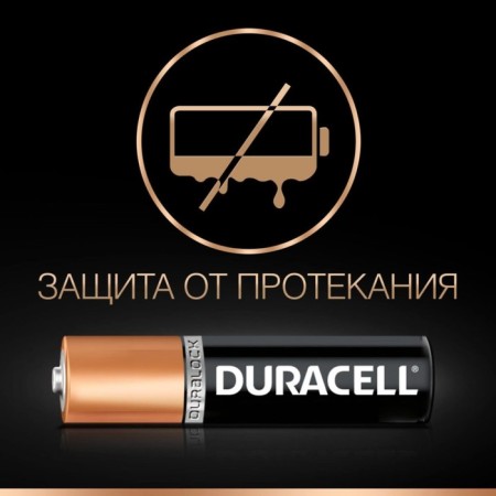 Alkalin battery Duracell Basic, AAA, LR03-2BL, 1.5V, blister, 2 pcs.-3
