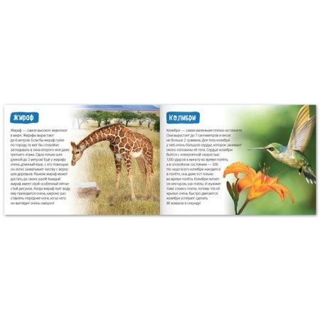 The training book "Animal Records", 20 p.-1