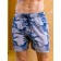 Male ISee shorts, size 50, gray color