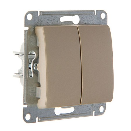 Glossa switch Sche GSL000451, 10 A, 2 keys, hidden, titanium color