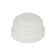 Thermos 1 l, with a glass flask, 2 circles, 13.5 x 32 cm, green