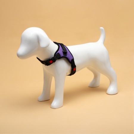 Cluck K7 soft reflective, size m, og 52-66 cm, weight 9.5-17.5 kg, purple-1