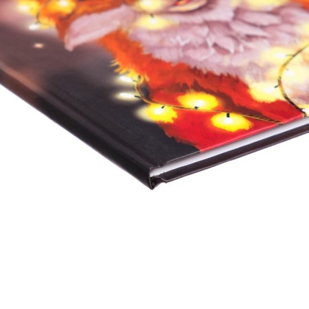 Diary for grades 1-4, "luminous fox", solid cover 7BC, matte lamination, 48 sheets-2