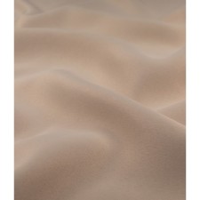 Curtain 