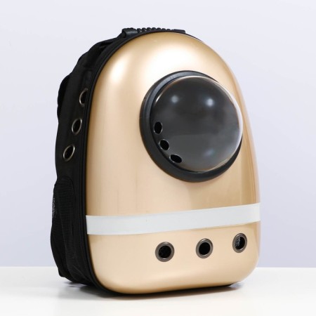 A backpack for carrying with a window for a review and a reflective strip, 32x26x44 cm, golden-1