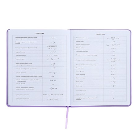 Universal diary for grade 1-11, well, solid cover, artificial leather, silkography, lies, 80 g/m2-8