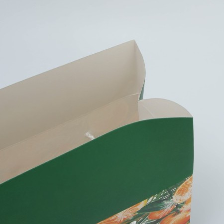 Package - Snow History, 23 x 18 x 11 cm, New Year-3