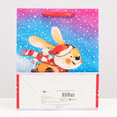 Gift package "Bunny on Sanks", 26 x 32 x 12 cm-1