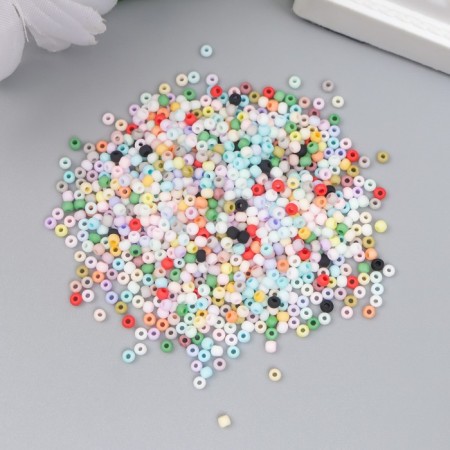 Glass beads 11/0 "matte. Melange color" 10 g