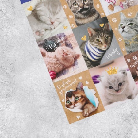 Stickers "Micper cats", 11 × 15.5 cm-1