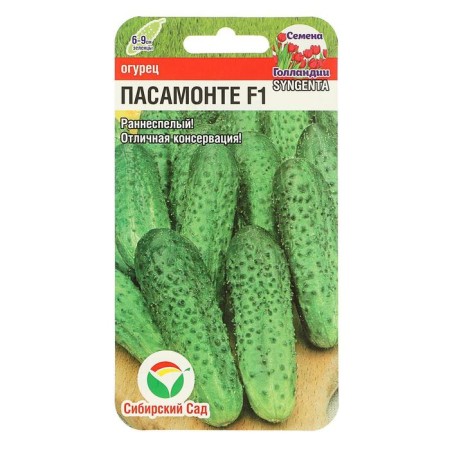 Seeds of cucumber Pasamonte F1, self -pollinated, 5pcs