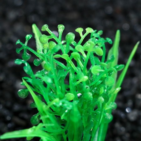 Artificial aquarium plant, 5 cm, green-1