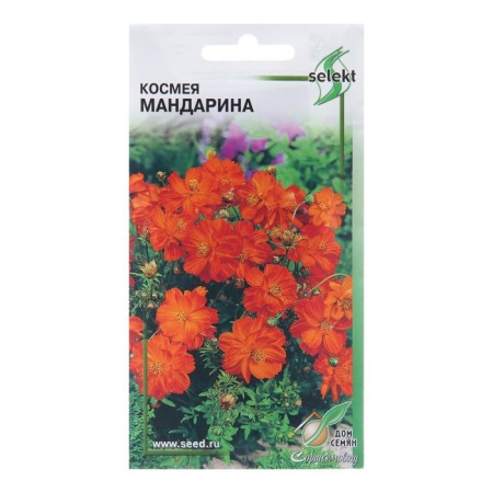 Cosmea Flower seeds "Mandarina", 10 pcs