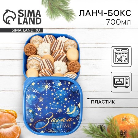 Lunch box “Winter to dream”, 700 ml