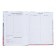 Universal diary for grades 1-11, "Russia Geometry", solid cover 7BC, glossy lamination, 40 sheets