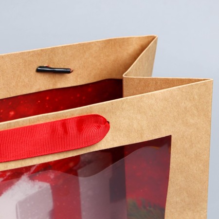 Craftsman package with a plastic window "New Year's Gift", 24 x 20 x 11cm, New Year-3