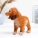 Pig a piggy bank "Puppy Cocker Spaniel" Red, 30x24x18cm