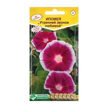 Flowers of the Ipomey "Morning Call of Favorite", 5pcs