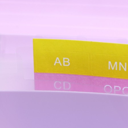 Elastic band A6, 12 departments, patterns, purple pastel-4