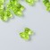 Decor for creativity Plastic "Bear" Green set 25 pcs 1.8x1.5x1 cm