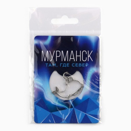 Магнит "Мурманск", 6 х 8 см-2
