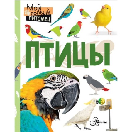 Birds. Aronova N. L.