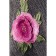 Women's scarf