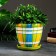 Flower pot "English cage" multi -colored, 2.4 liters