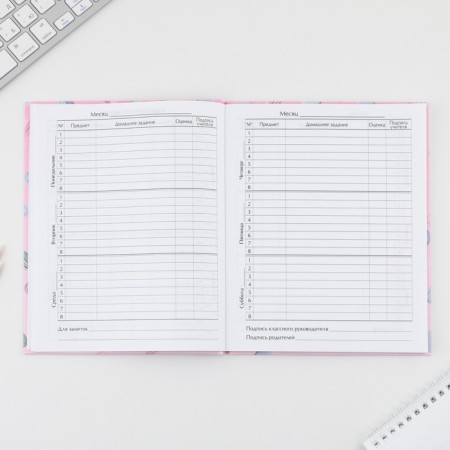 School Diary 5-11 Grade 1 September 1: Macaroon, solid cover 7BC, glossy lamination, 48 sheets-5