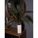 Fern in a ceramic pot, 110 × 110 × 930 mm, green / white color