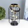 Nightlight "flowers" LED from AAA batteries black 14x14x27 cm Risalux