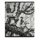 Notebook of 48 sheets in the Erichkrause cage monochrome history, cover coated cardboard, block offset, 5v, mix